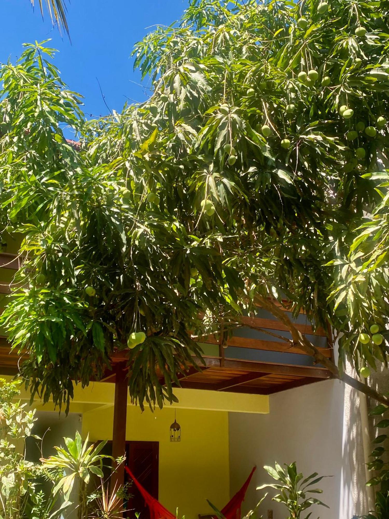 Pousada Aguas De Tamandaré Exterior photo