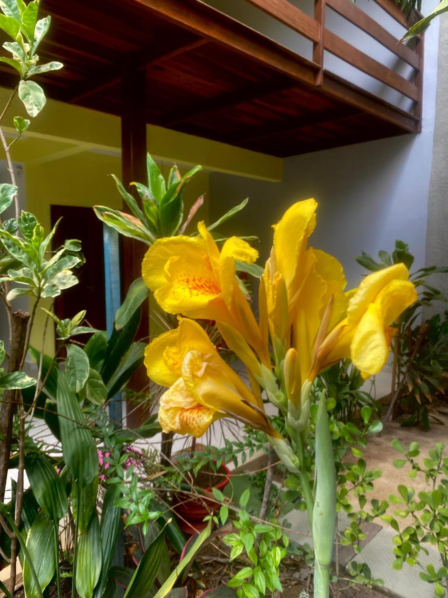 Pousada Aguas De Tamandaré Exterior photo